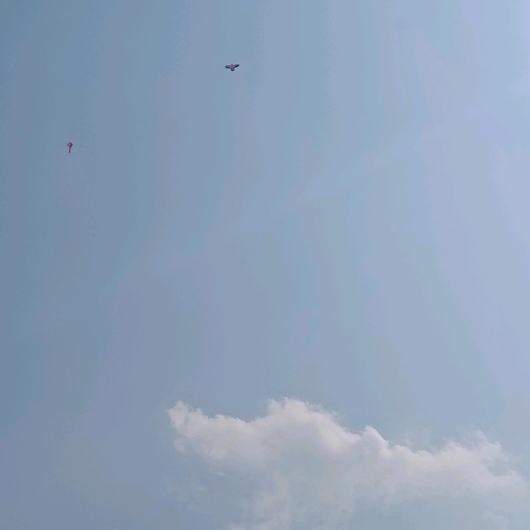 看热闹不嫌事大