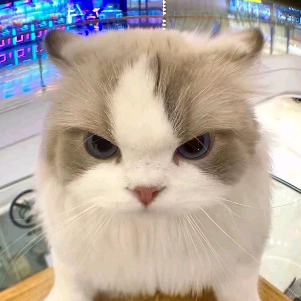 ღ᭄💞封心锁爱ღ᭄ 💕