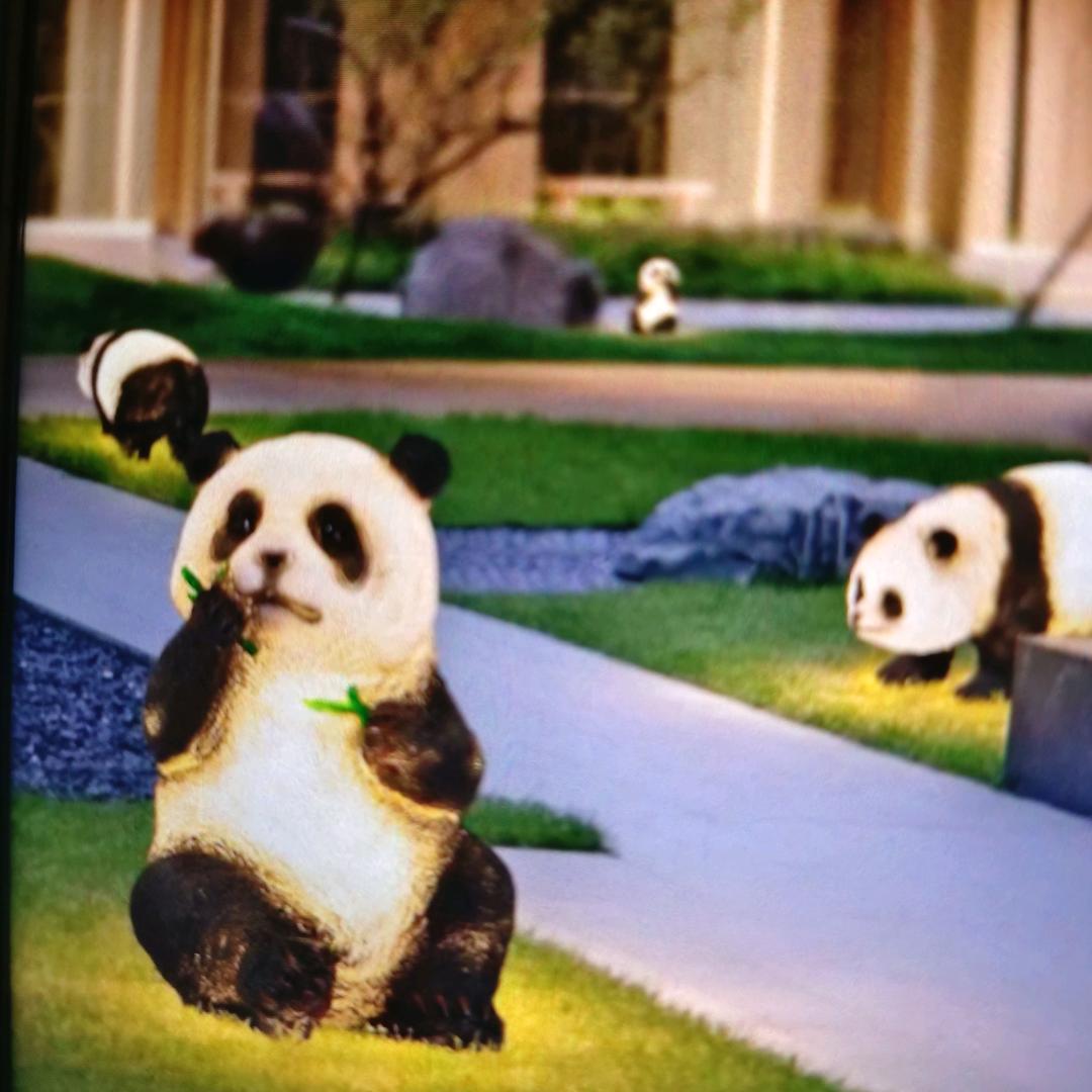 自己走自己的路