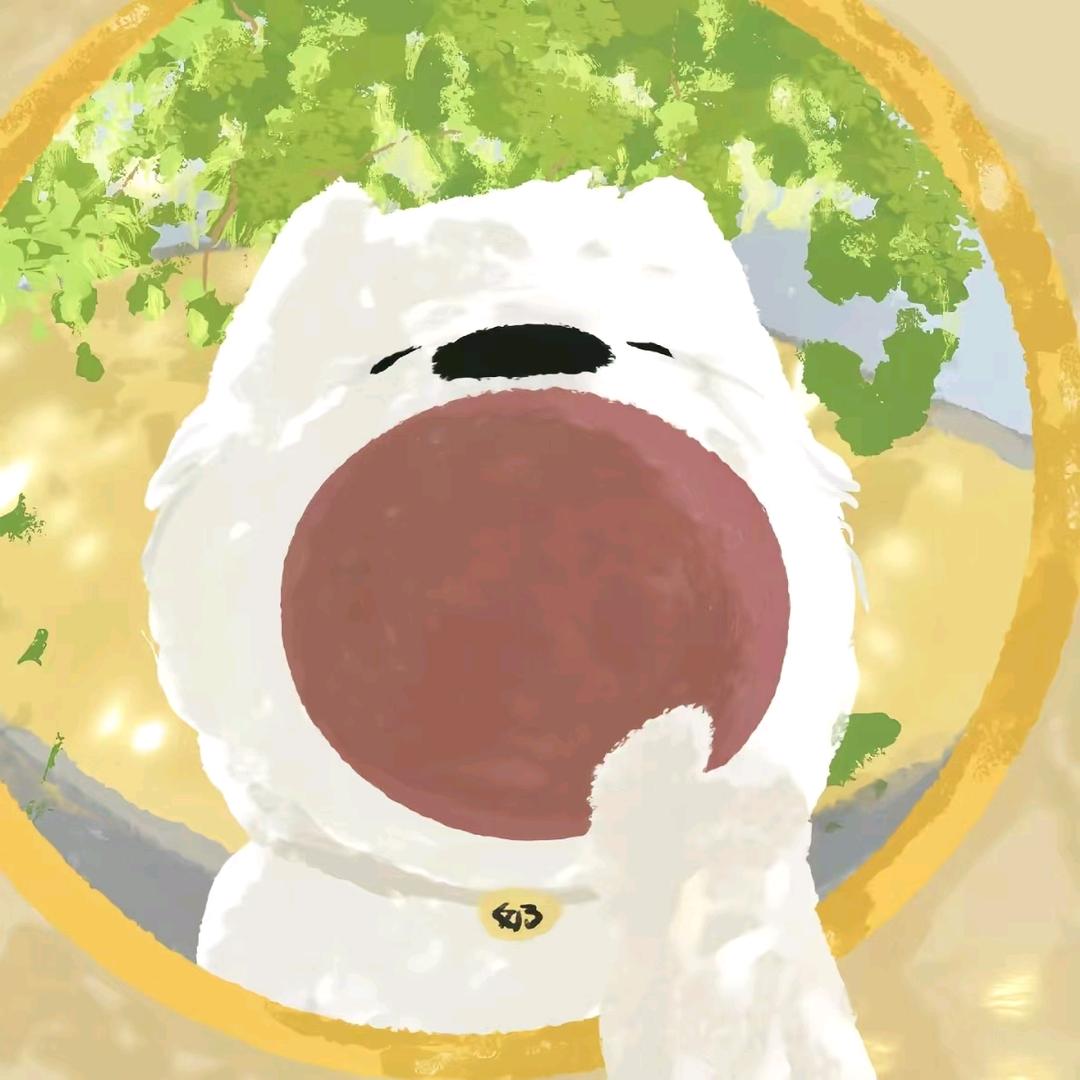 赵小雷.
