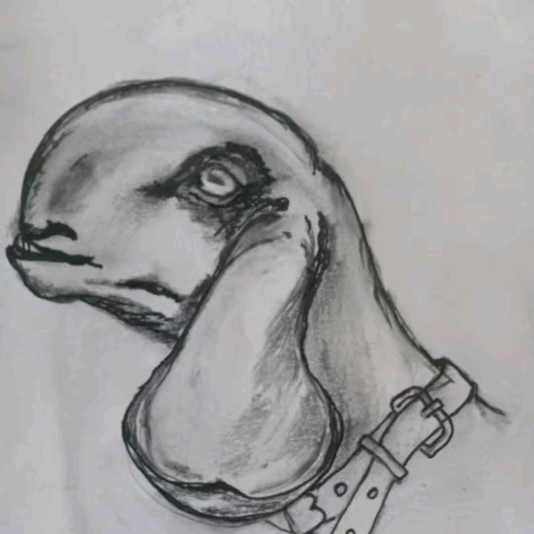 @艾力说羊大号