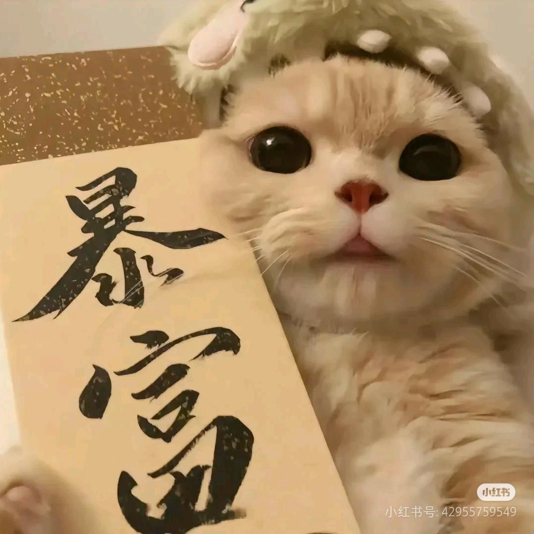 一个呵呵哒