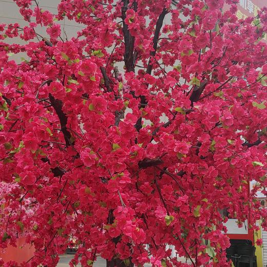 傻᭄᭄丫ꦿღ🕊头💞