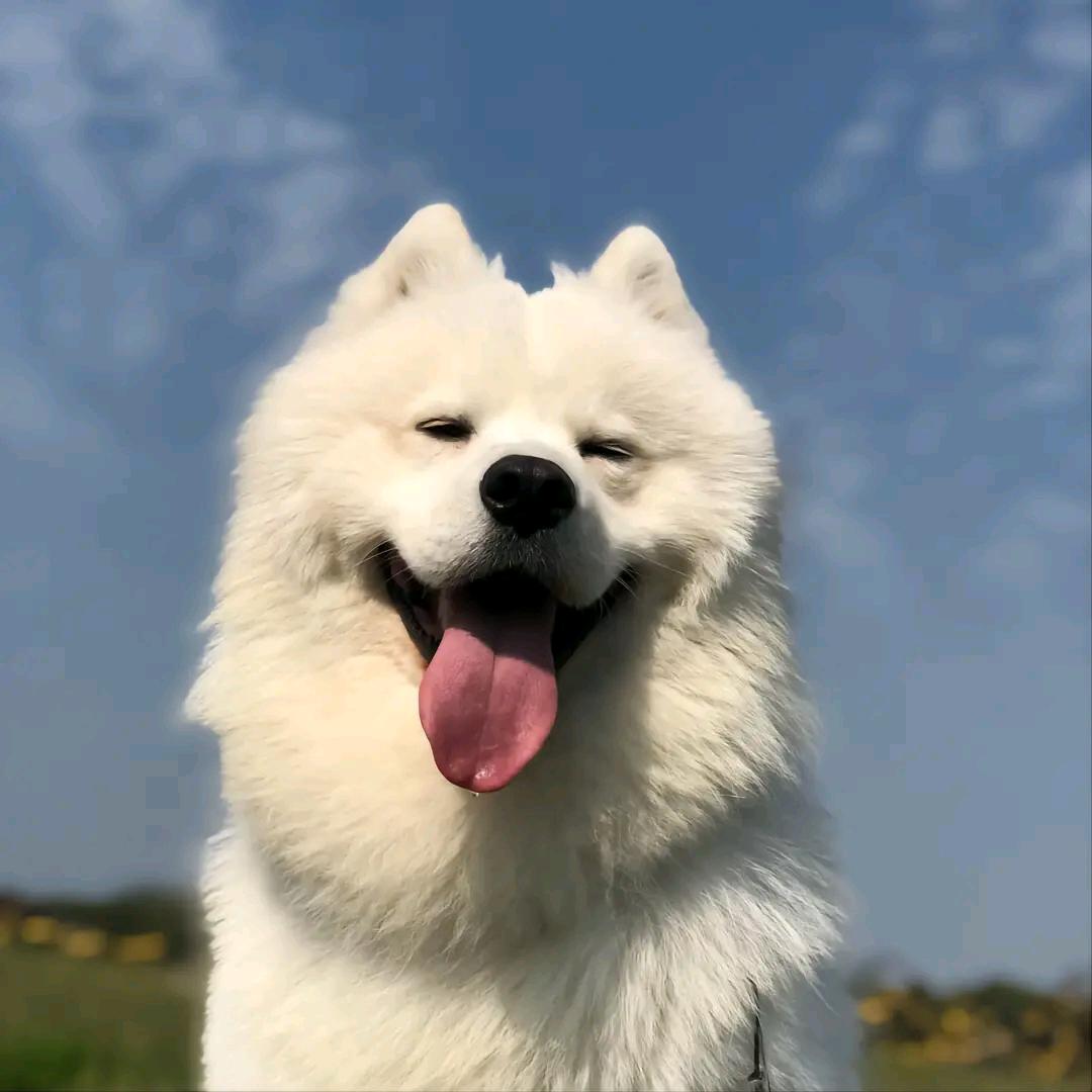 东东美食