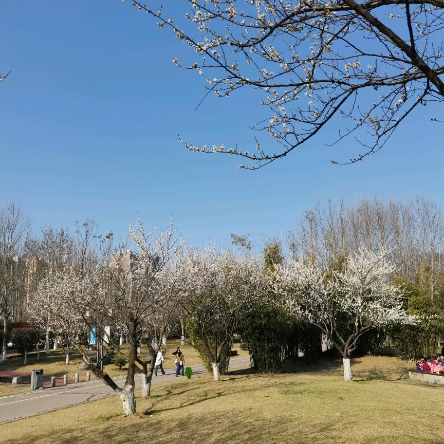 碧漾奶奶