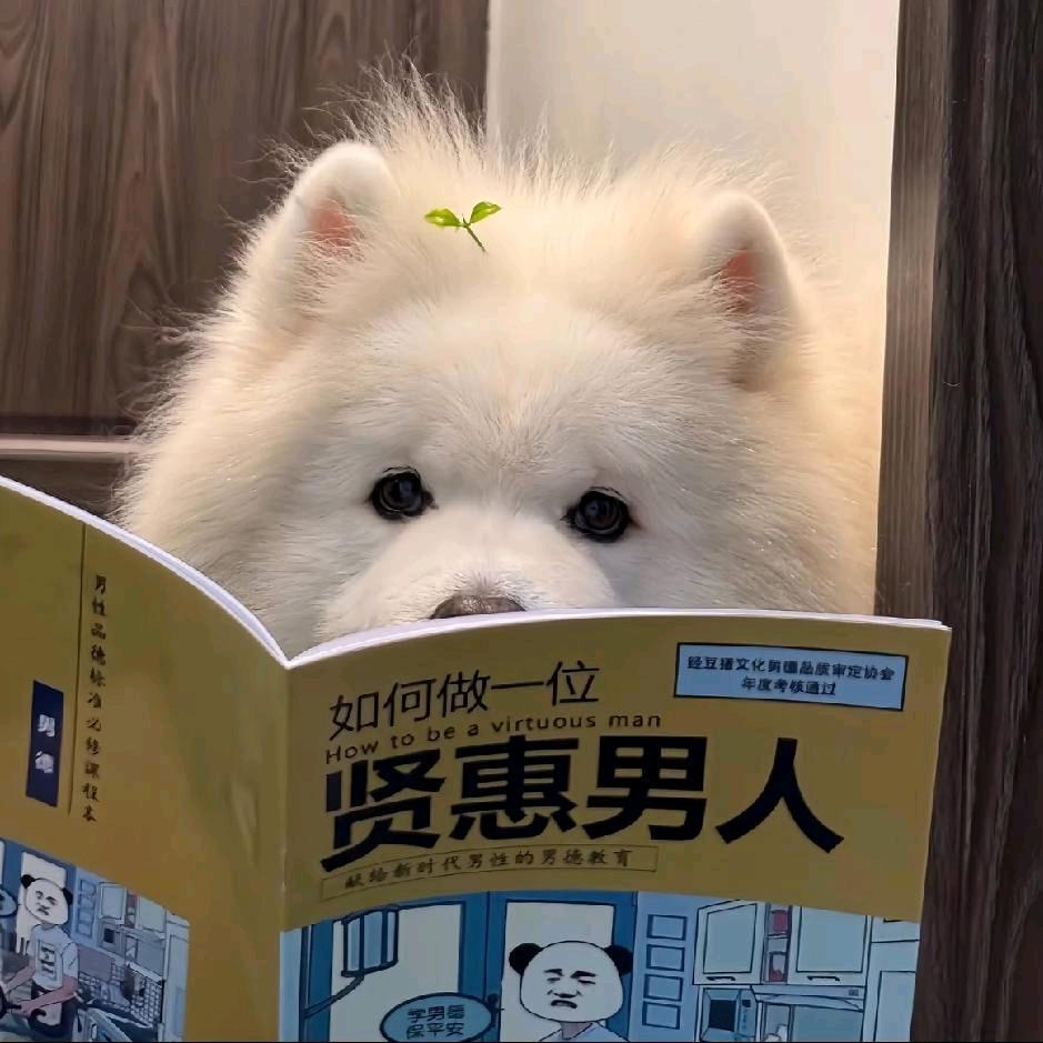 网瘾少年阿宇