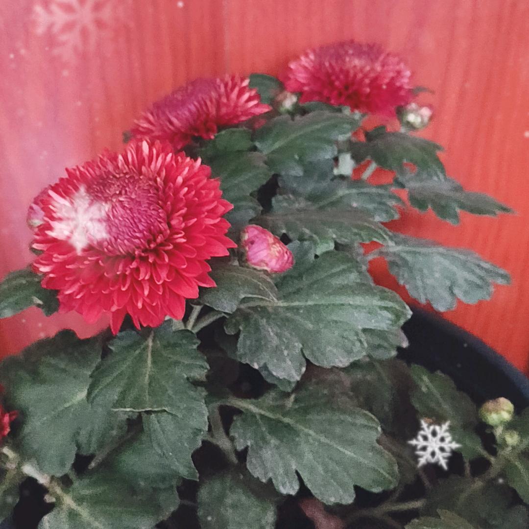 人生就是一场戏