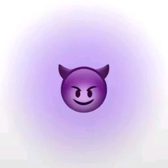 用户协议与条款