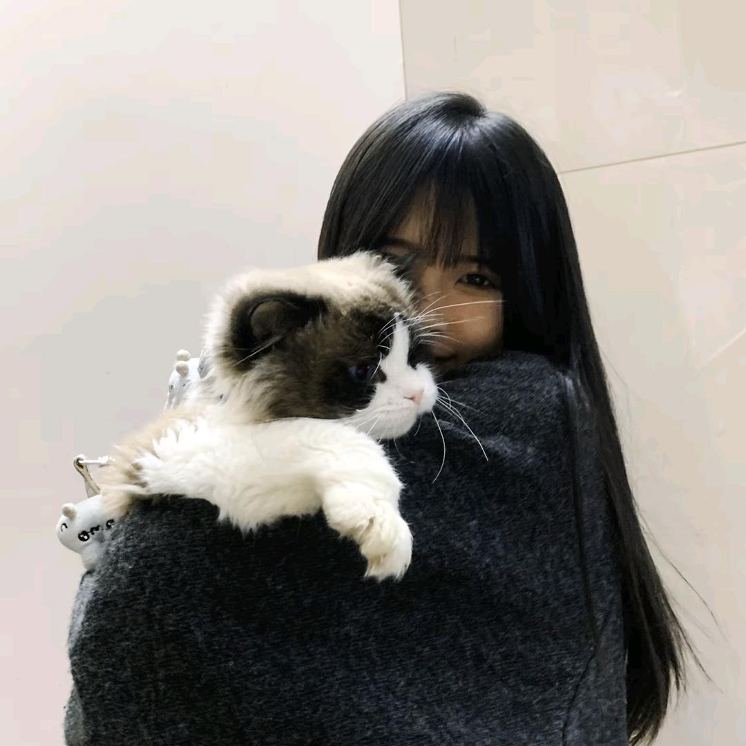 綵 ·