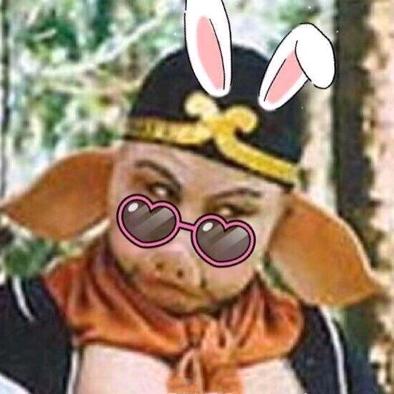 憨po