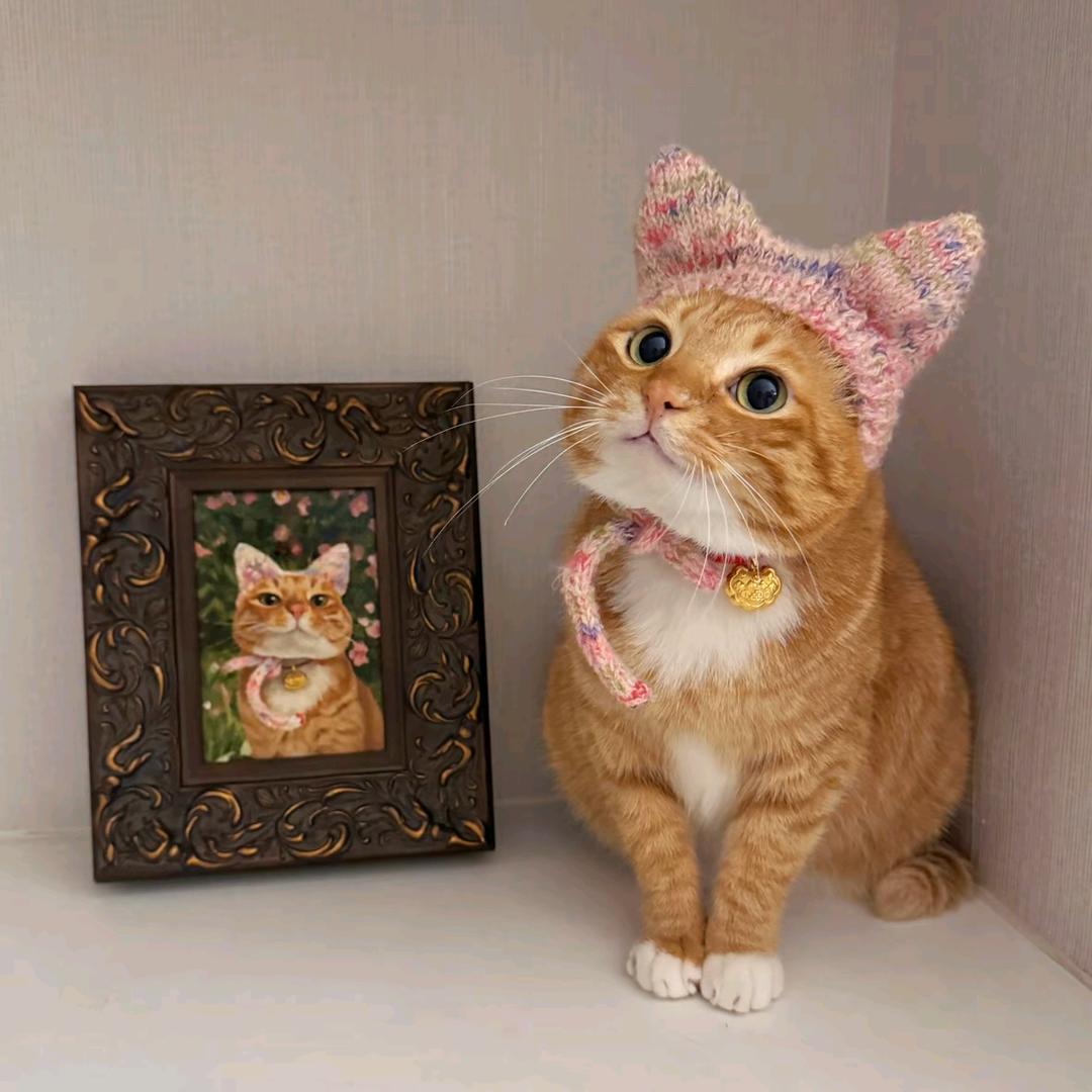 冰拿铁（涨粉版）