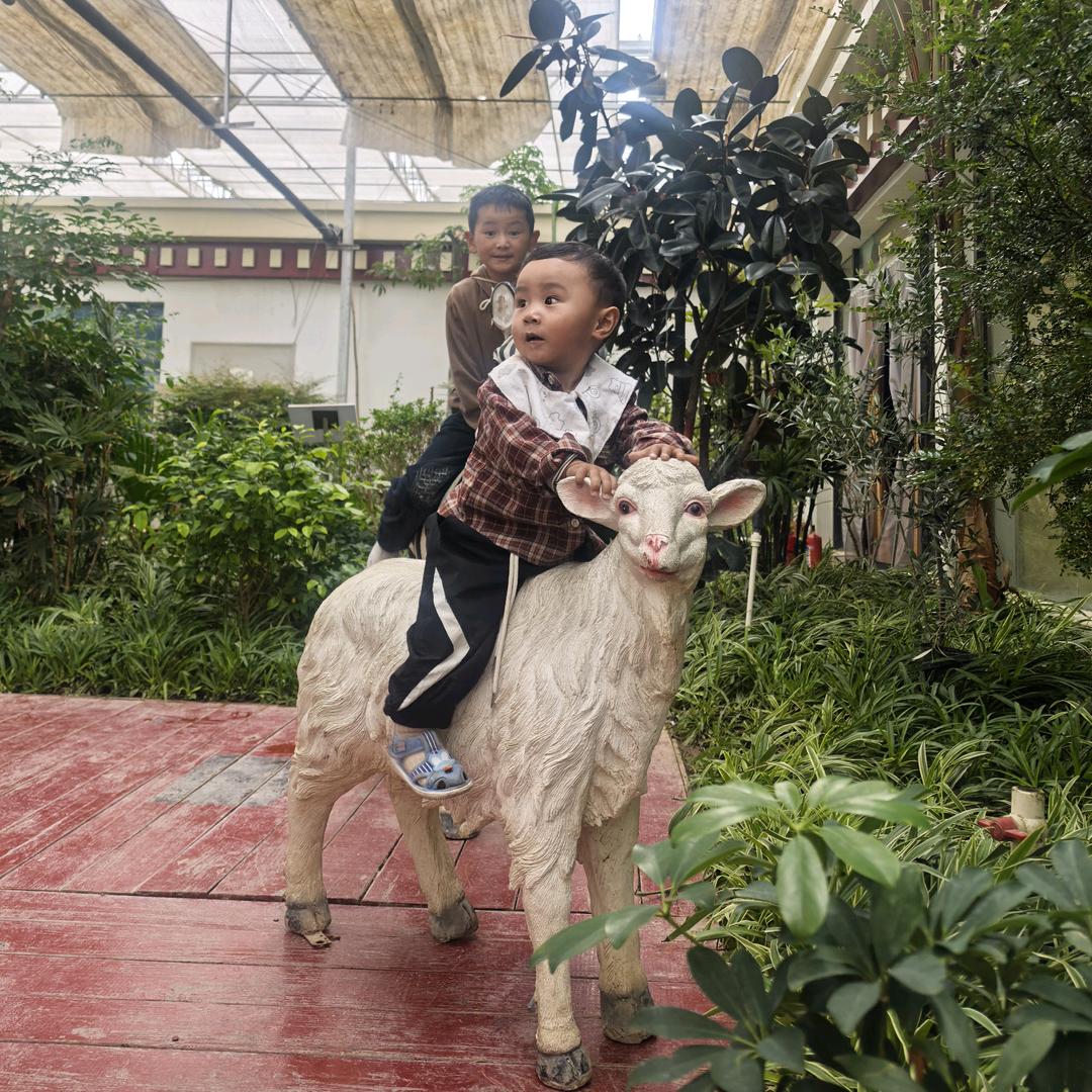 ᕙ`▿´ᕗ全力以扑*Ő౪Ő*