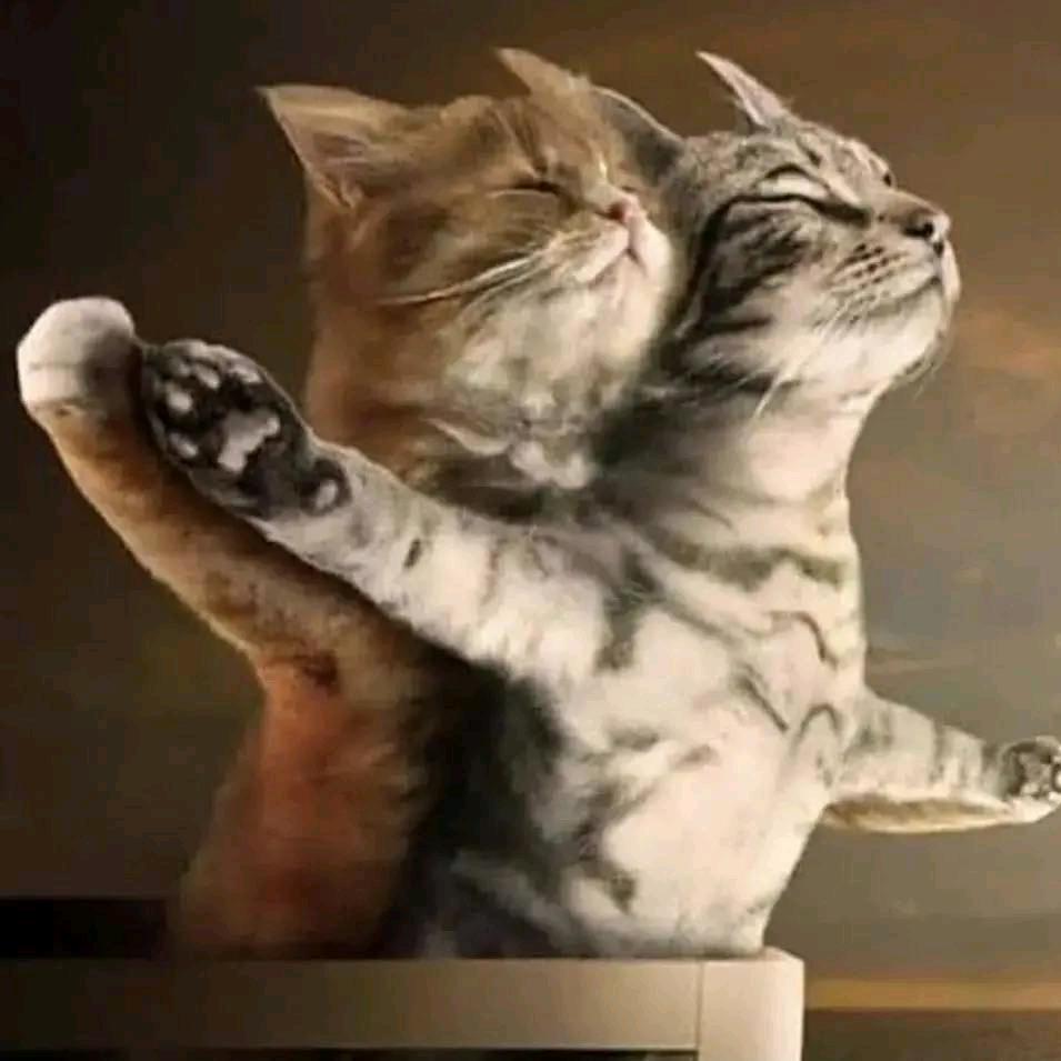 东东 ( ˘ ³˘)❤