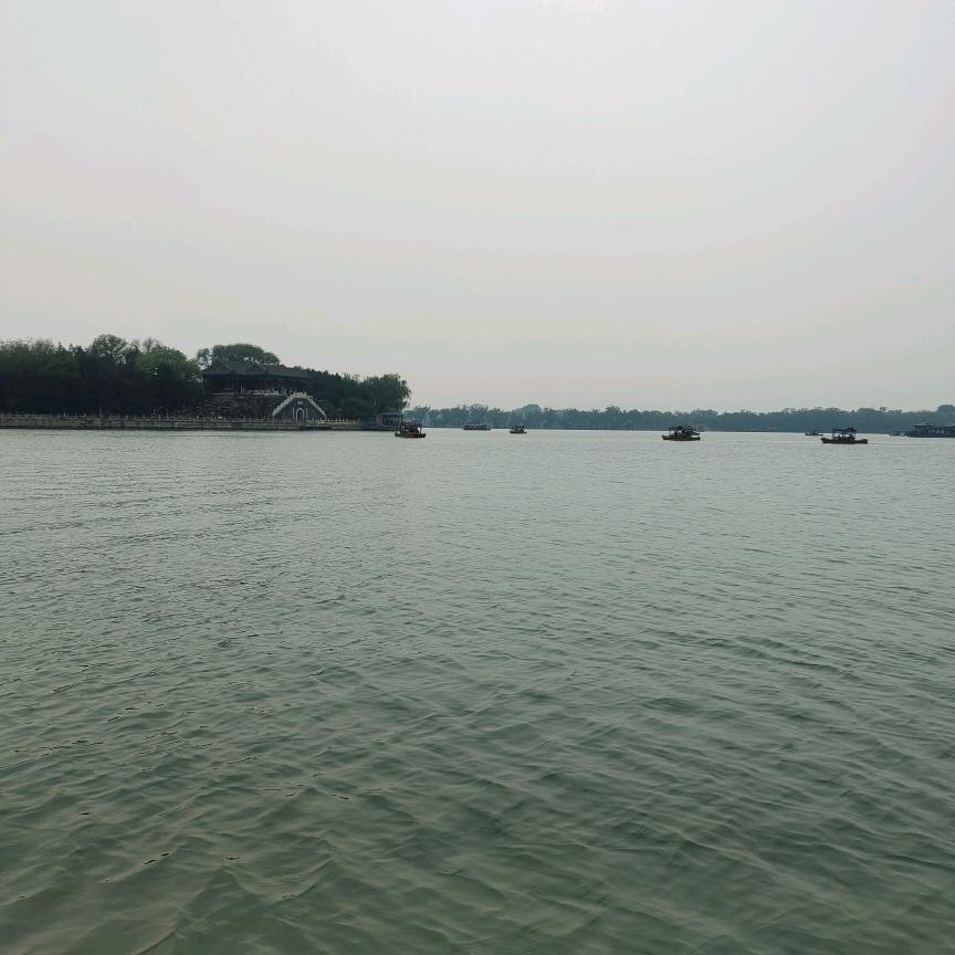 小兔兔