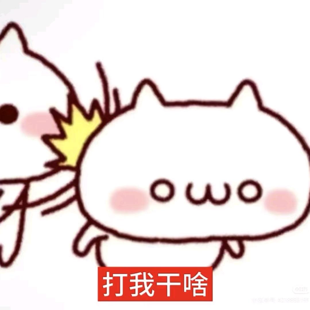 青春烟瘾少年不会遇见数学天才学姐