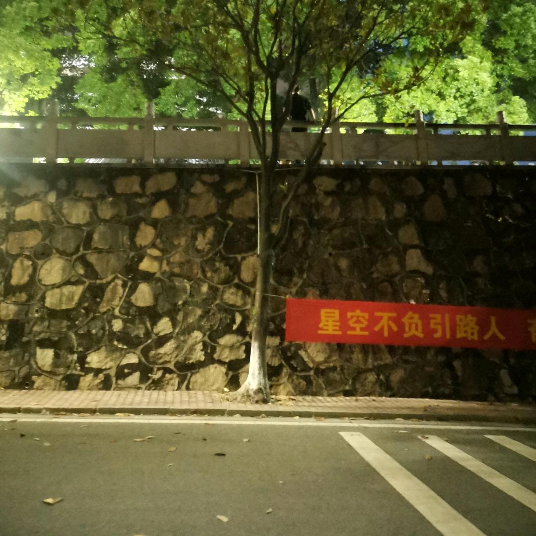三分木木