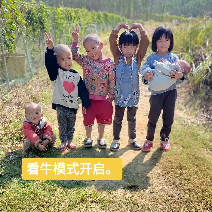 大苦瓜和六个小苦瓜。小凤