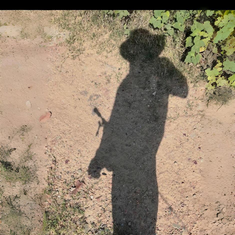 竿下不钓无名之鱼