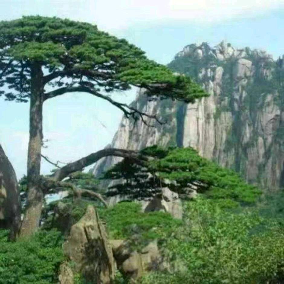 孙师傅，专业搬家，拉货，拆装家具