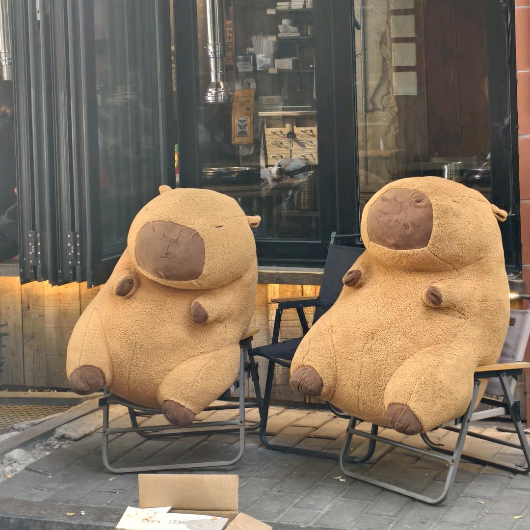 不像排骨的排骨