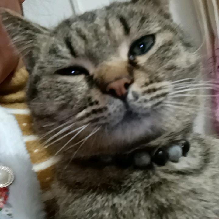 善缘