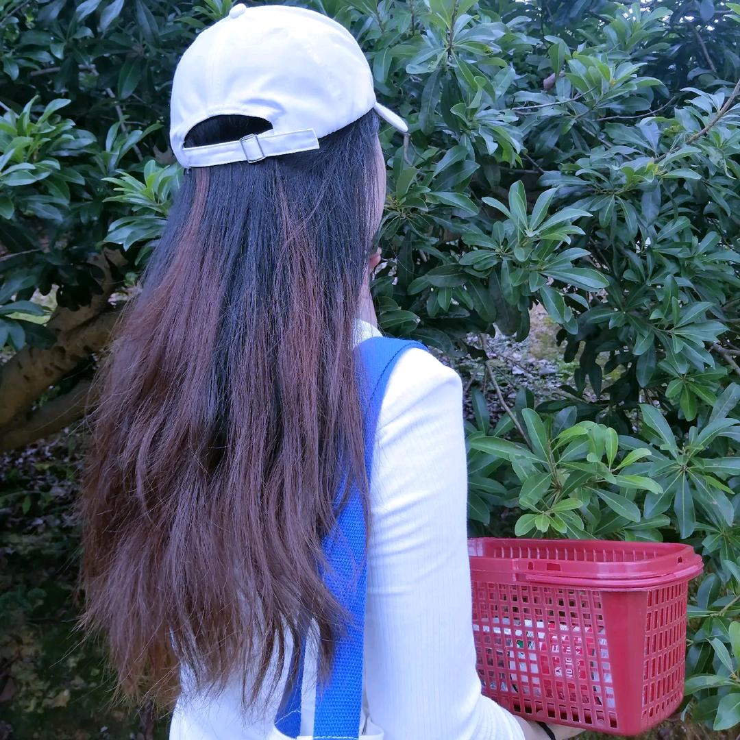 霞妹子