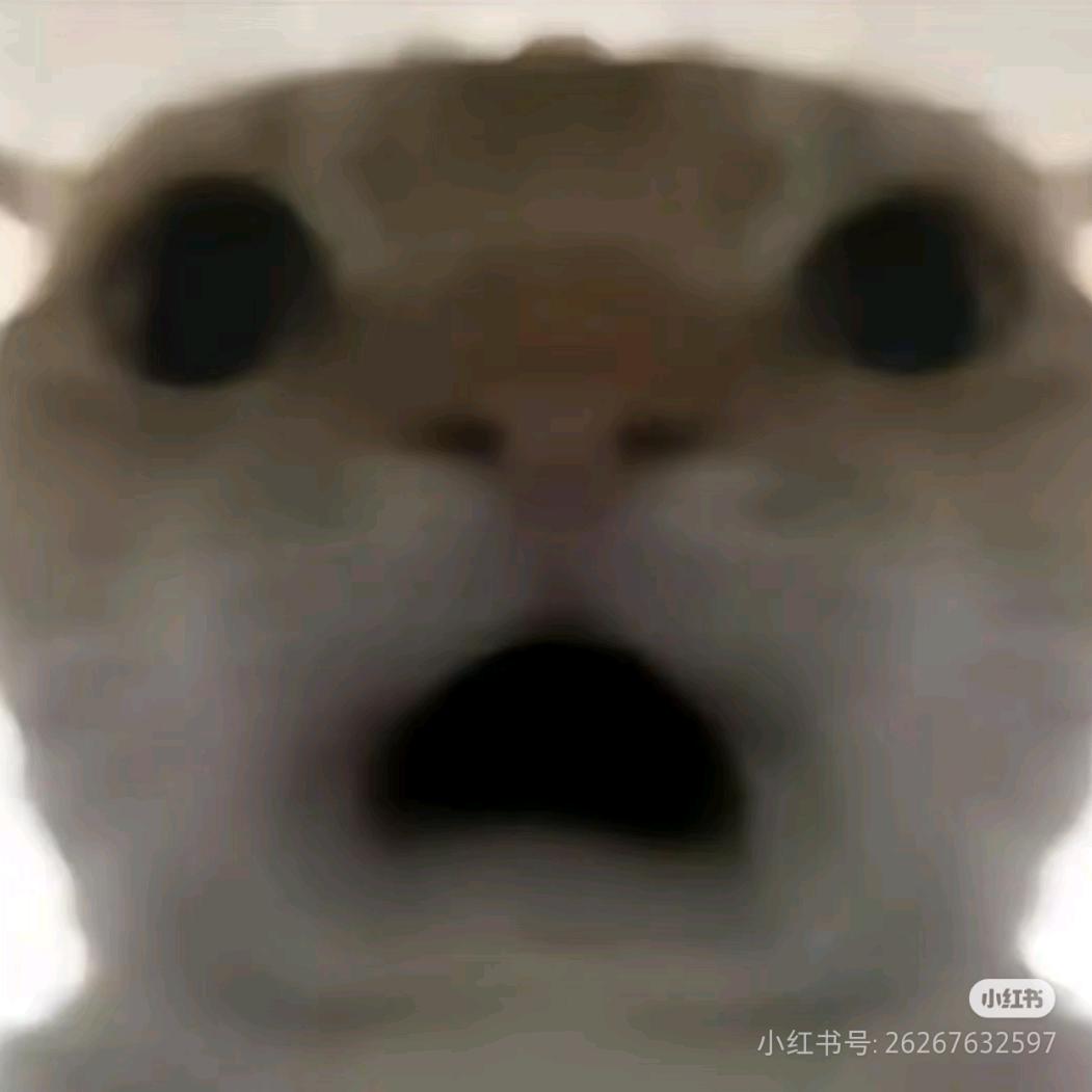 哇米多