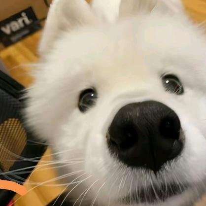 释怀不了