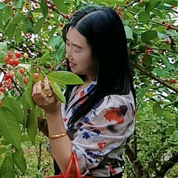 霞妹