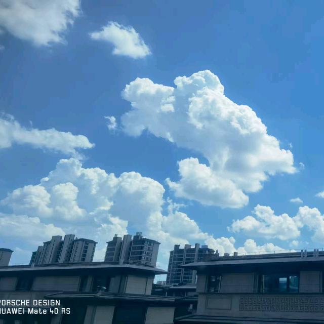 家是温暖港湾🌹🌹
