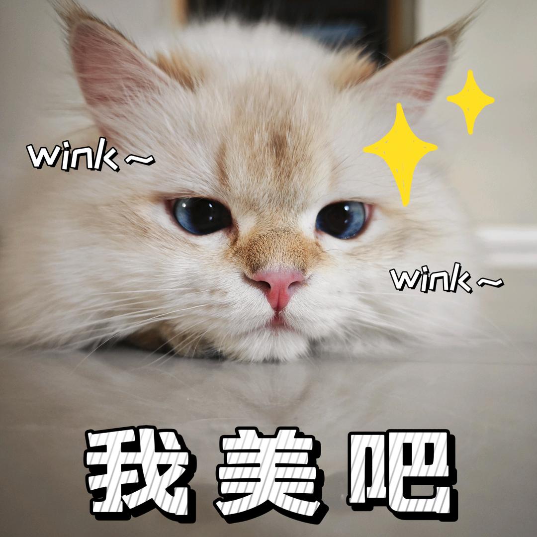 邹心怡