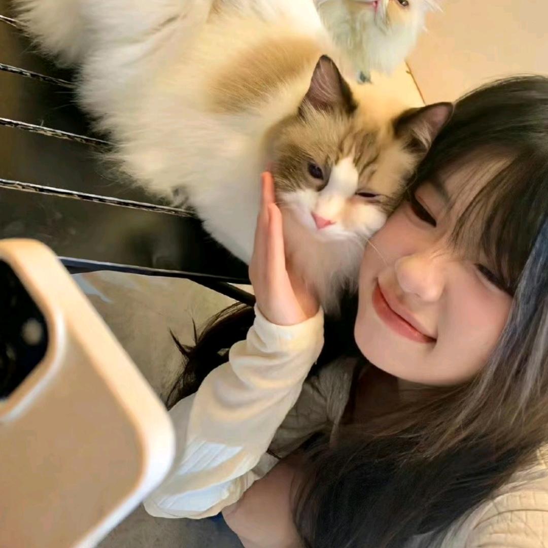 半只兔子