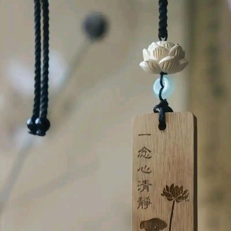 🍀ヽ多给生活🌱加点糖ノ🍀
