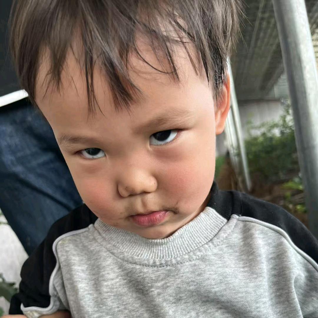 申公貂