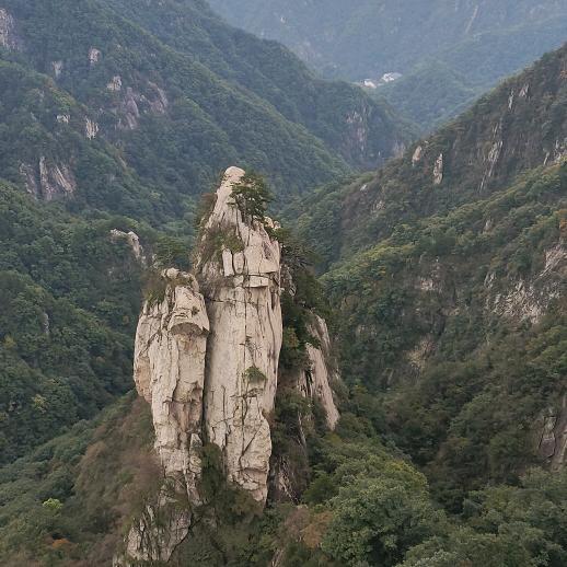龙哥