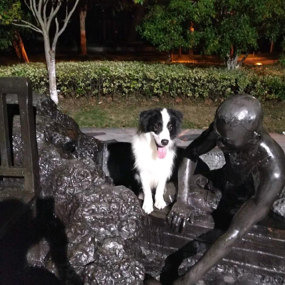 🦅🦅奔跑的灵魂😫😫