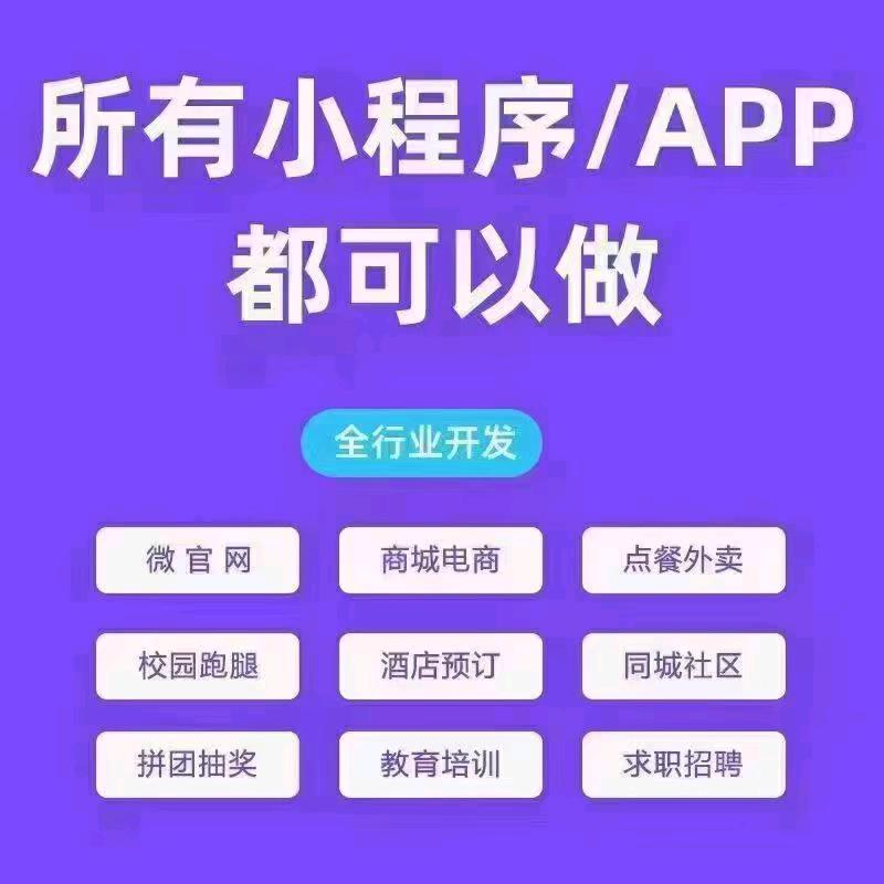 石家庄小程序开发，app开发
