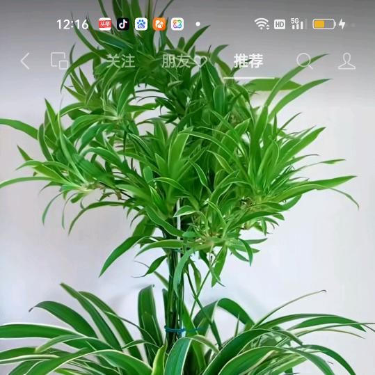 相守柤望《拒绝私聊》