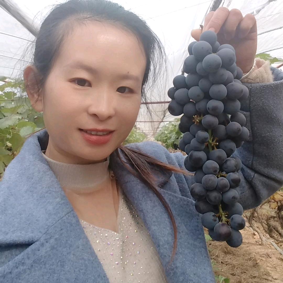 🌹没心没肺🌹