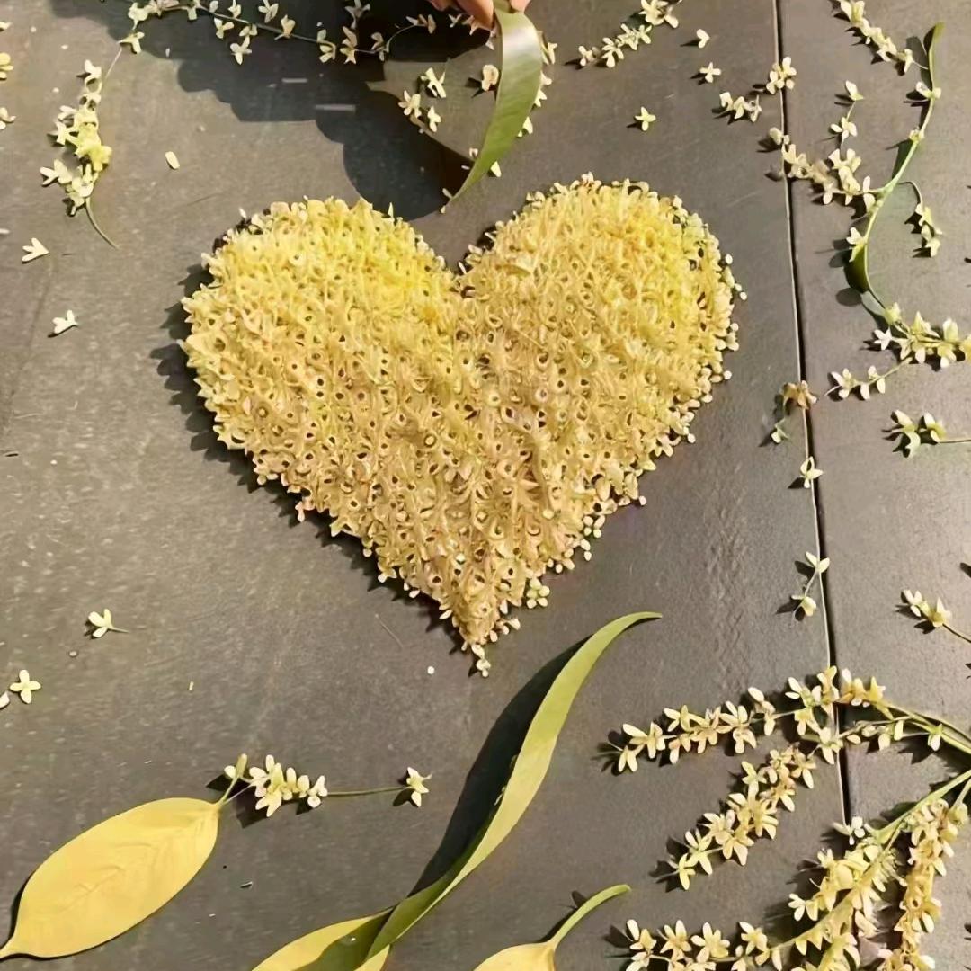 橙子❤️