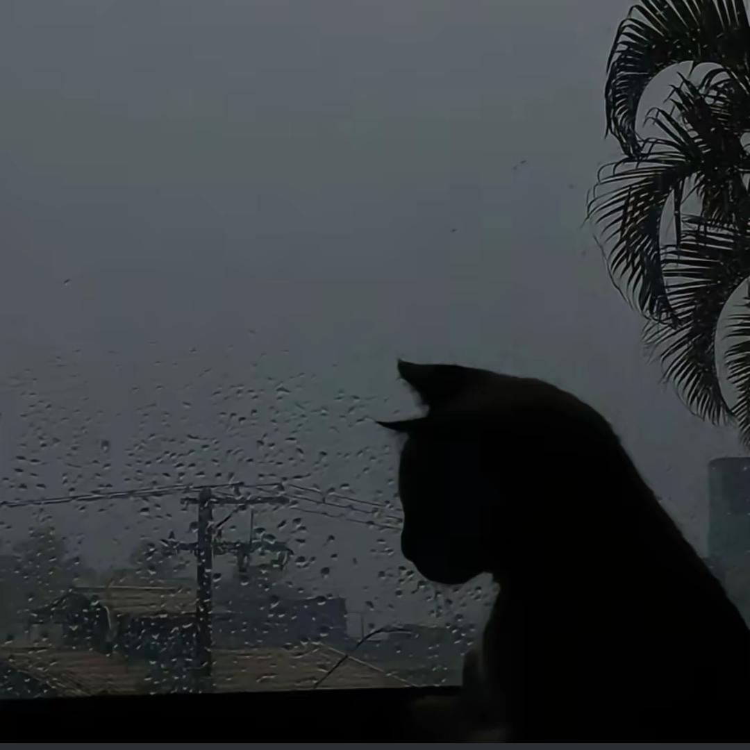 🌨️🌨️🌨️🌨️