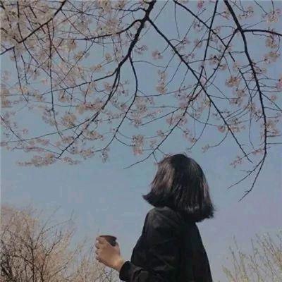 (๑><๑）