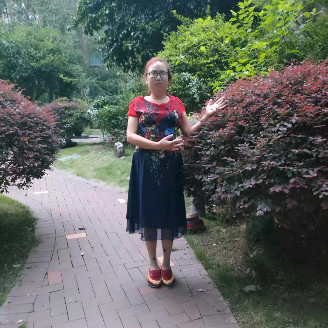 洒洒