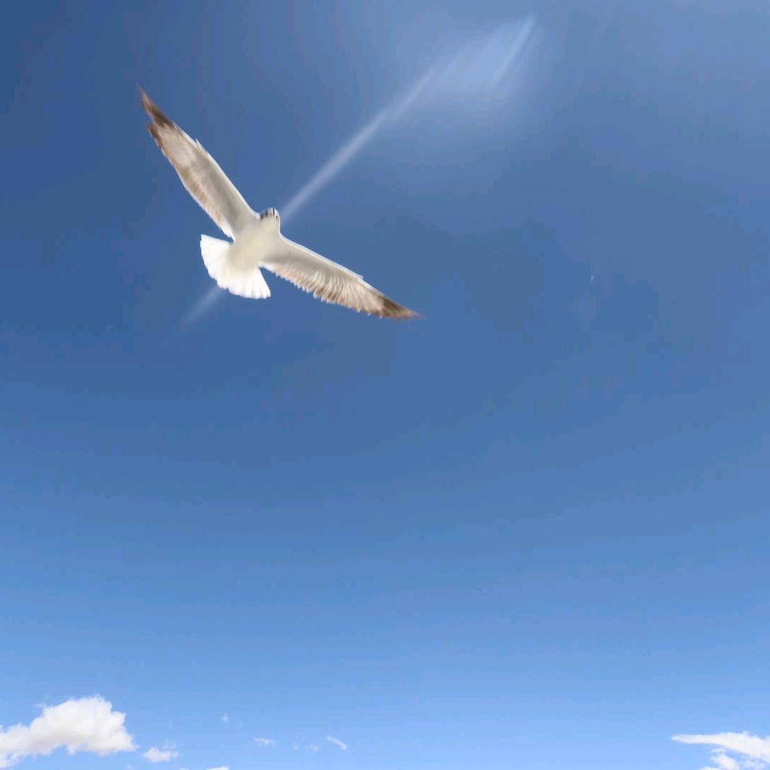 天外客