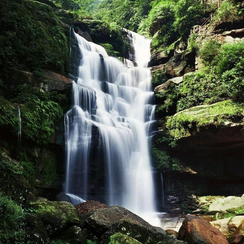蛋包芝士火鸡面（四平）
