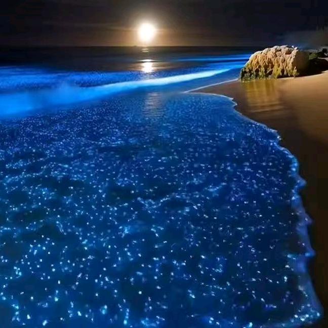 火力不足恐惧症