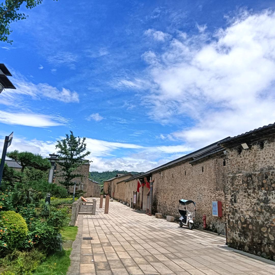 向阳而生，