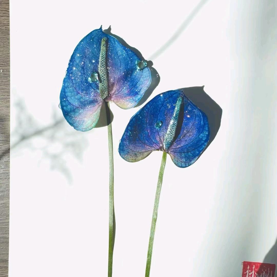 爱财❤️已风生水起