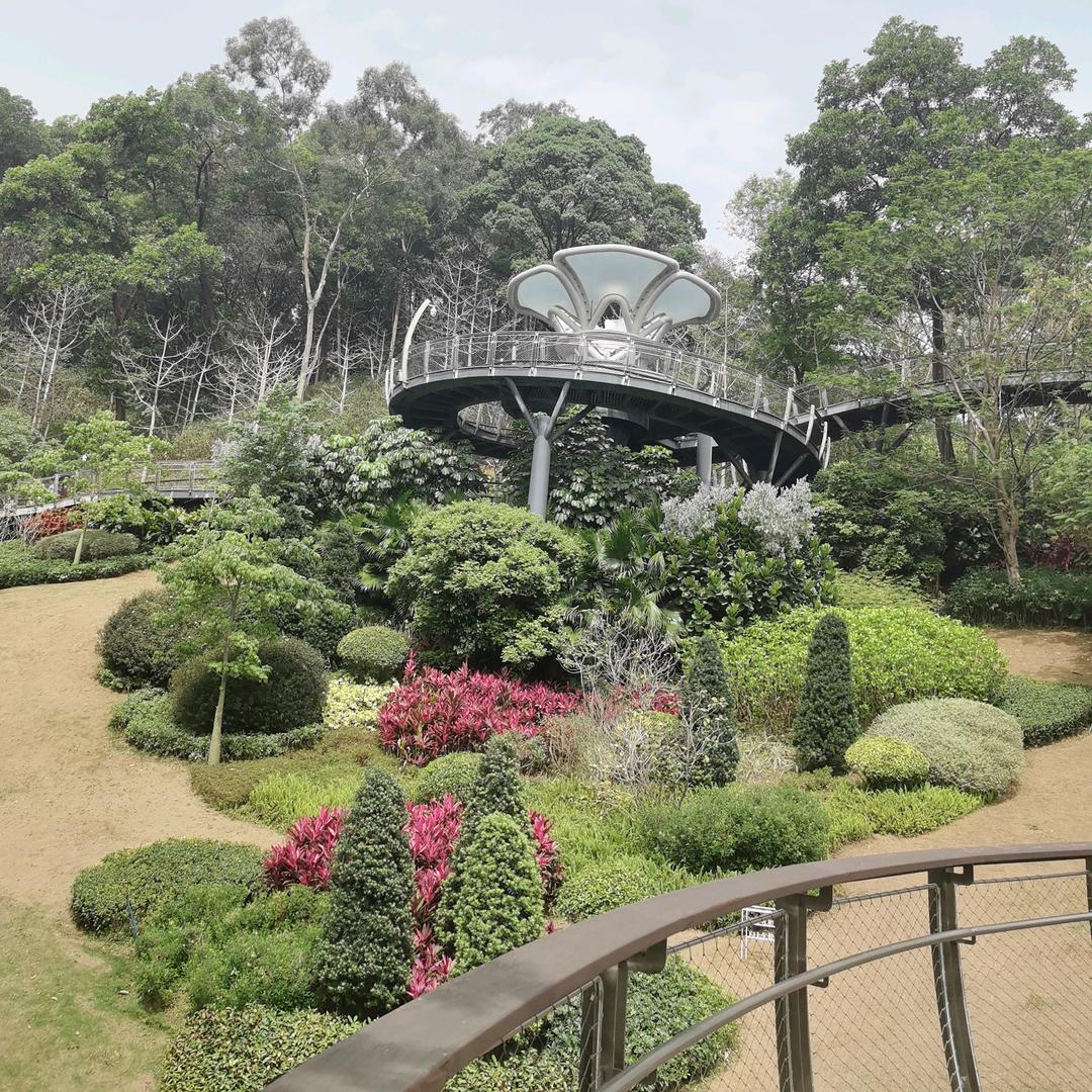 无言🦋拒绝私信