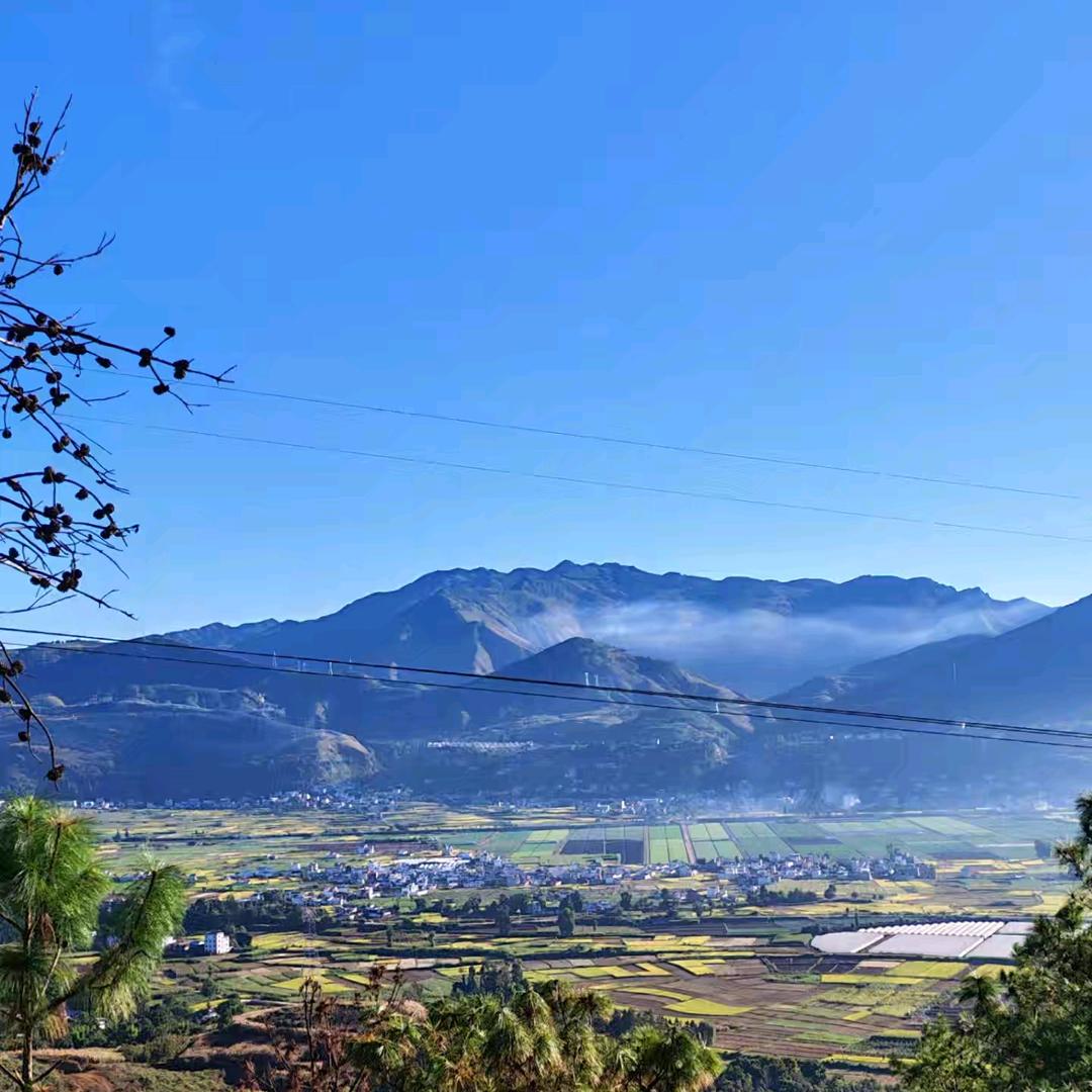 表情怪异有猫腻